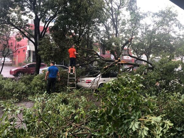 Fuerte temporal destechó comisaría, derribó árboles y dejó sin energía a varios sectores en CDE