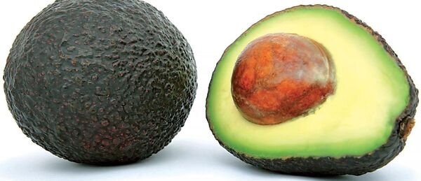 El aguacate y sus derivaciones - El Independiente