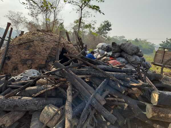 Cecilio Baez: Intervienen propiedad por infracción a la Legislación Forestal