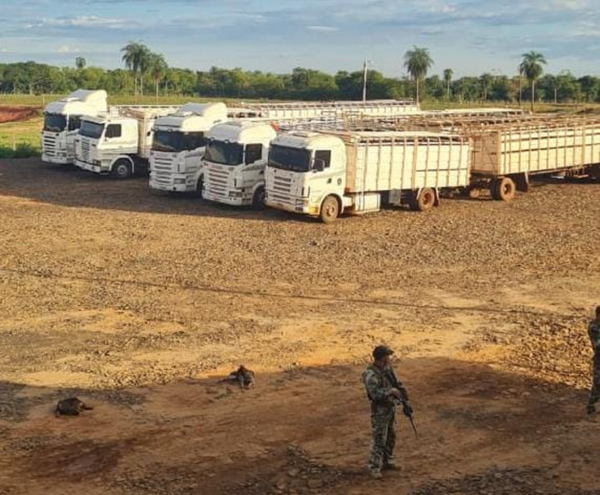 Operativo A Ultranza: Lo que se sabe de la mayor operación contra el crimen organizado