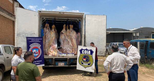 La Nación / Remansito: incautan más de 10 toneladas de carne de contrabando proveniente de Argentina