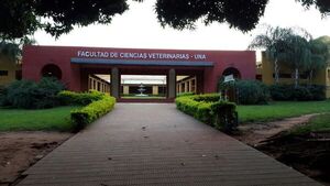 Examen online para ingreso en Veterinaria UNA no pudo continuar por falla en el sistema - Nacionales - ABC Color