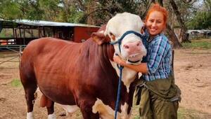 Analí Argüello es la única mujer veterinaria que recorre el país haciendo podología bovina