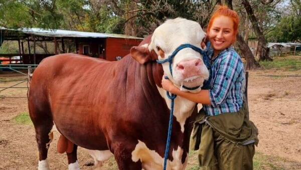 Analí Argüello es la única mujer veterinaria que recorre el país haciendo podología bovina