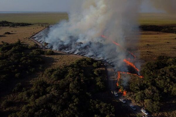 Ecosistemas, víctimas del aumento de la intensidad y frecuencia de los incendios - Ciencia - ABC Color