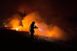 ONU alertó que la probabilidad de incendios forestales devastadores aumentará para fin de siglo - .::Agencia IP::.