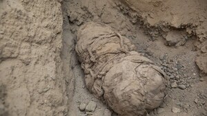 Descubren restos de 20 momias de hasta 1.200 años de antigüedad