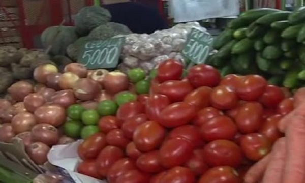 Denuncian manejo irregular para importaciones - SNT