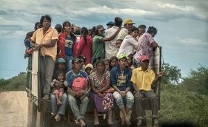 Pretende articular acciones para la conservación ambiental del Gran Chaco americano - Noticias del Chaco - ABC Color