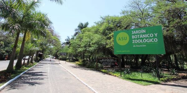 Concejales solicitan la intervención del zoológico y la remoción de la directora, Marys Llorens