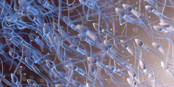 Los testículos albergarían al virus activo del covid durante varios meses
