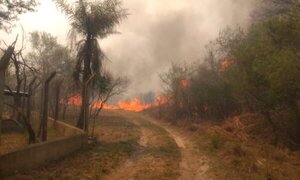 El presidente de Argentina viajará a Corrientes para recorrer las zonas afectadas por incendios - Megacadena — Últimas Noticias de Paraguay