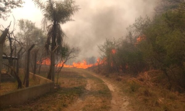 El presidente de Argentina viajará a Corrientes para recorrer las zonas afectadas por incendios - Megacadena — Últimas Noticias de Paraguay