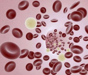 Brasil autoriza innovadora terapia génica contra el cáncer - Mundo - ABC Color
