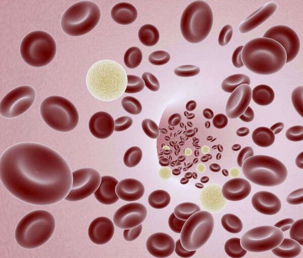 Brasil autoriza innovadora terapia génica contra el cáncer - Mundo - ABC Color