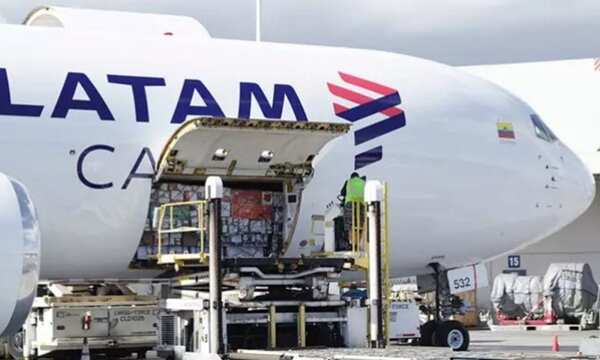 EL ROBO GUA’U DEL AEROPUERTO GUARANÍ - La Voz del Norte