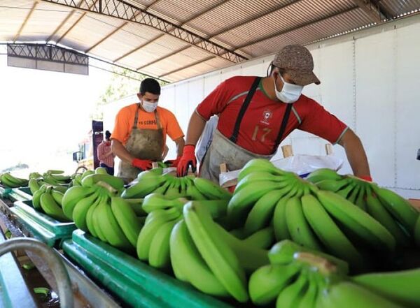 Bananeros se movilizan contra exclusión de la fruta de la merienda escolar