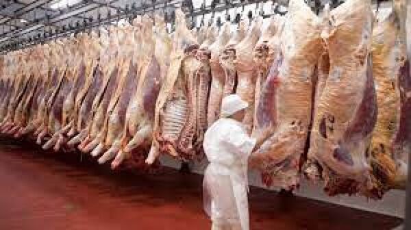 ¿Qué pasará con la carne paraguaya que compra Rusia?