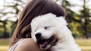 Mascotas mejoran la salud cognitiva y reducen el riesgo de discapacidad
