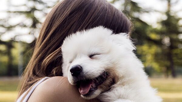 Mascotas mejoran la salud cognitiva y reducen el riesgo de discapacidad