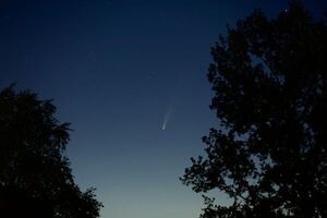 Subasta de meteoritos: La Luna se vende mejor que Marte