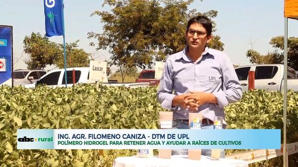 Polímero hidrogel para retener agua y ayudar a raíces de cultivos - ABC Rural - ABC Color