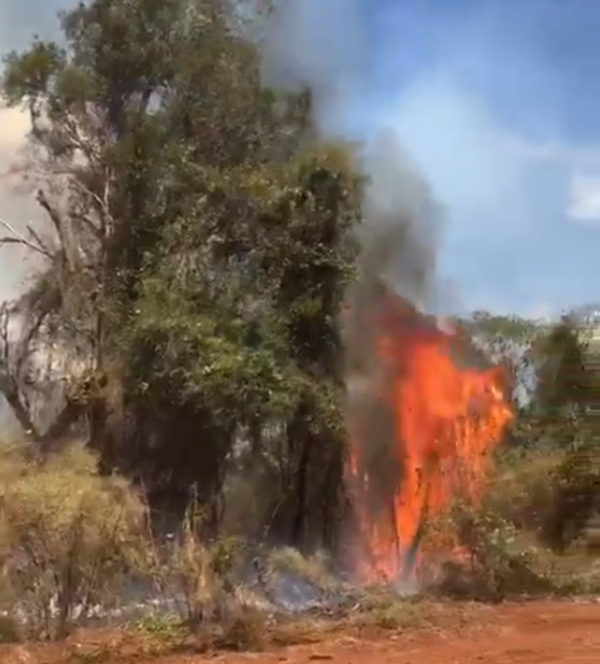 Diario HOY | Voraz incendio de pastizales en Itapúa