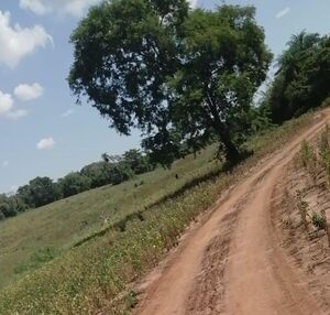 Abigeos siguen golpeando a productores de la región