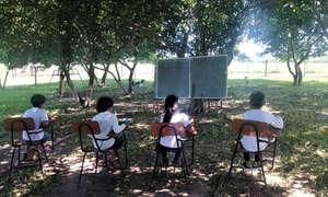 Estudiantes dan clase bajo árboles en Ybytymí por peligro de derrumbe - OviedoPress