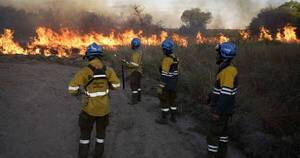 La Nación / Gremio agropecuario de Corrientes estima millonarias pérdidas por incendios