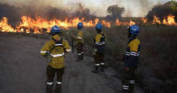 La Nación / Gremio agropecuario de Corrientes estima millonarias pérdidas por incendios