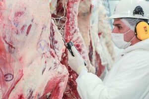 Exportación de carne a Rusia sigue inalterable pese a conflicto regional, aseguran