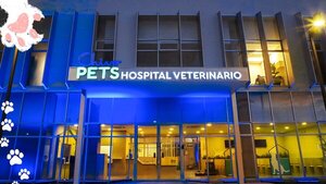 Así es el "Chivopets", el primer hospital veterinario público de El Salvador - Megacadena — Últimas Noticias de Paraguay