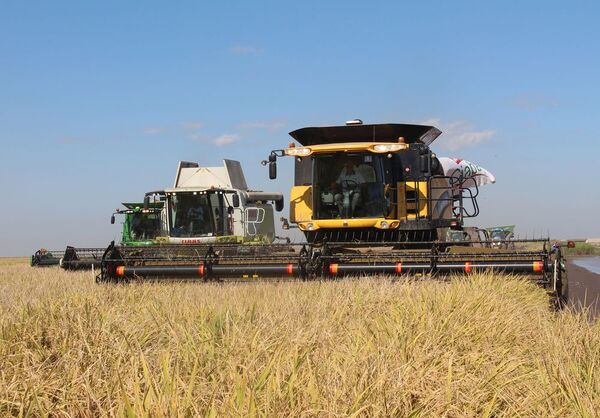 Cae importación de maquinarias agrícolas en enero