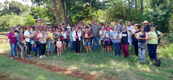 GOBERNACIÓN REALIZA CAPACITACIÓN DE MANEJO Y PRODUCCIÓN HORTÍCOLA EN YATYTAY - Itapúa Noticias