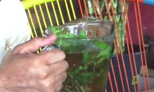 Día Nacional del Tereré: Una bebida que nos une a todos - SNT