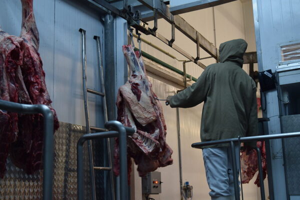 Continuidad de Rusia en el sistema Swift genera optimismo a la exportación de carne