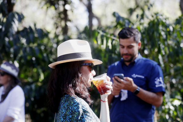 El café guatemalteco toma auge y busca aventuras únicas desde la cosecha - MarketData