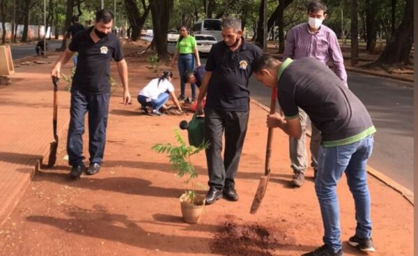 Jornada de arborización sobre la avenida Bernardino Caballero