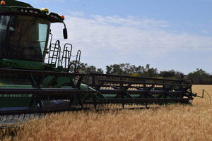 “Nadie se anima a pasar precios de las materias primas, serán muy altos”, dijo especialista agrícola ante conflicto bélico