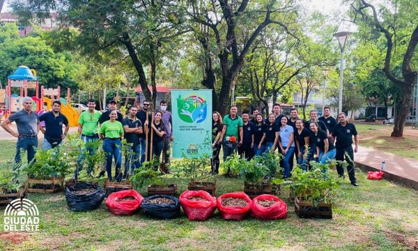 Municipalidad de Ciudad del Este revitaliza unaavenida céntrica con mudas de especies nativas – Diario TNPRESS
