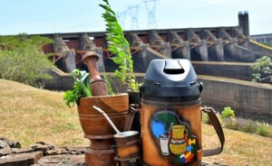 Itaipu entrega plantines medicinales por el Día Nacional del Tereré