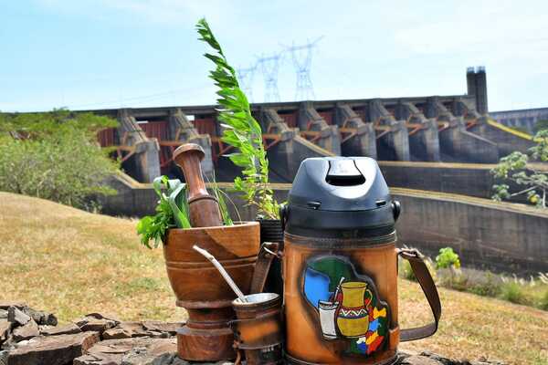Itaipu se suma a celebración del Día Nacional del Tereré con entrega de plantines medicinales - .::Agencia IP::.