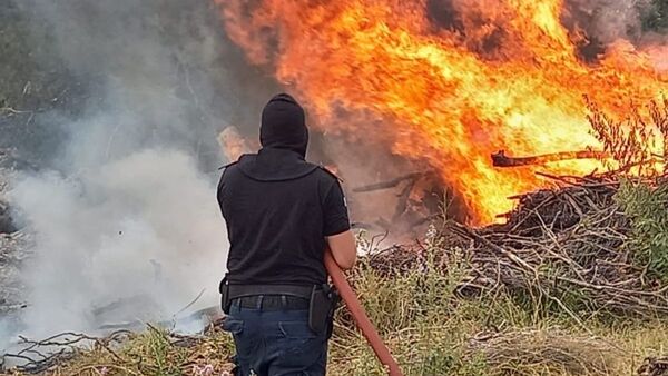Sequía y fuego laceran vida silvestre en argentinos Esteros del Iberá