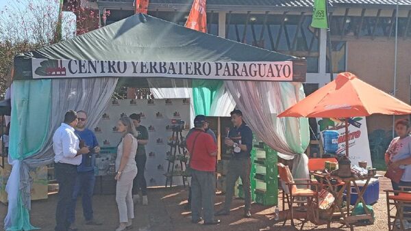 En la capital de la yerba mate, celebran el Día del Tereré