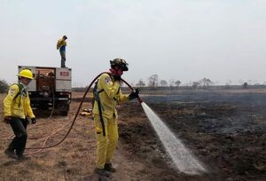 Ganado y peces en peligro debido a la intensa sequía que azota a Ayolas