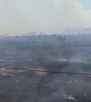 Incendio arrasa con campos en Carapeguá - Nacionales - ABC Color