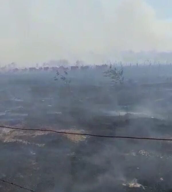 Incendio arrasa con campos en Carapeguá - Nacionales - ABC Color