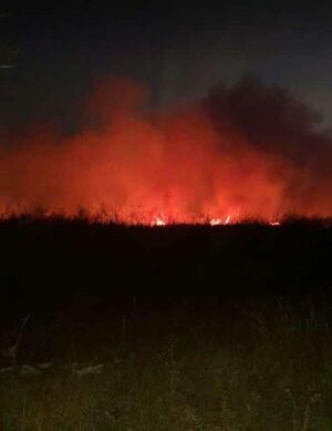 El sur de Ñeembucú sigue ardiendo en llamas - Nacionales - ABC Color