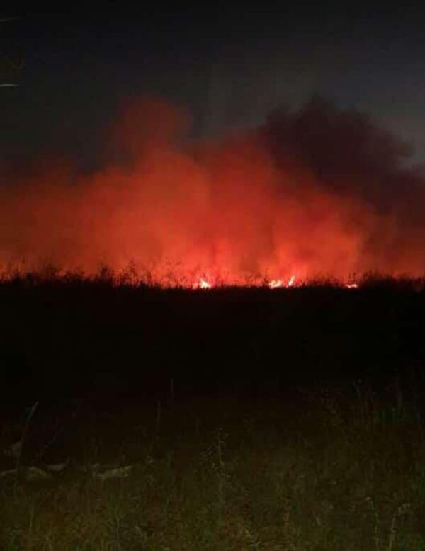 El sur de Ñeembucú sigue ardiendo en llamas - Nacionales - ABC Color